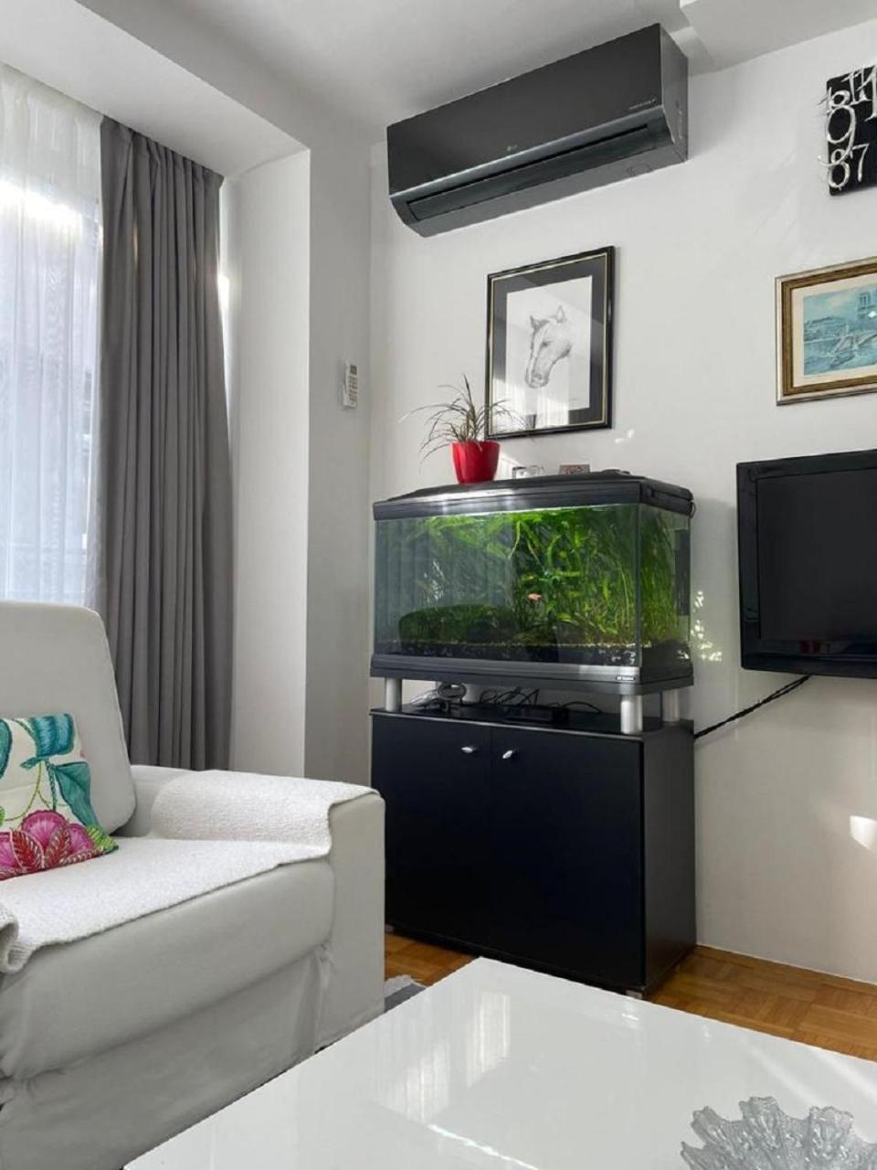 Sase Apartment Saraybosna Dış mekan fotoğraf